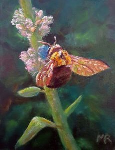 Carpenter Bee 11x14in oil on canvas Nov 2023