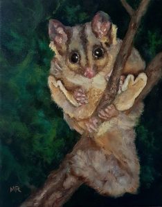 Sugar Glider 11×14 inches mixed media