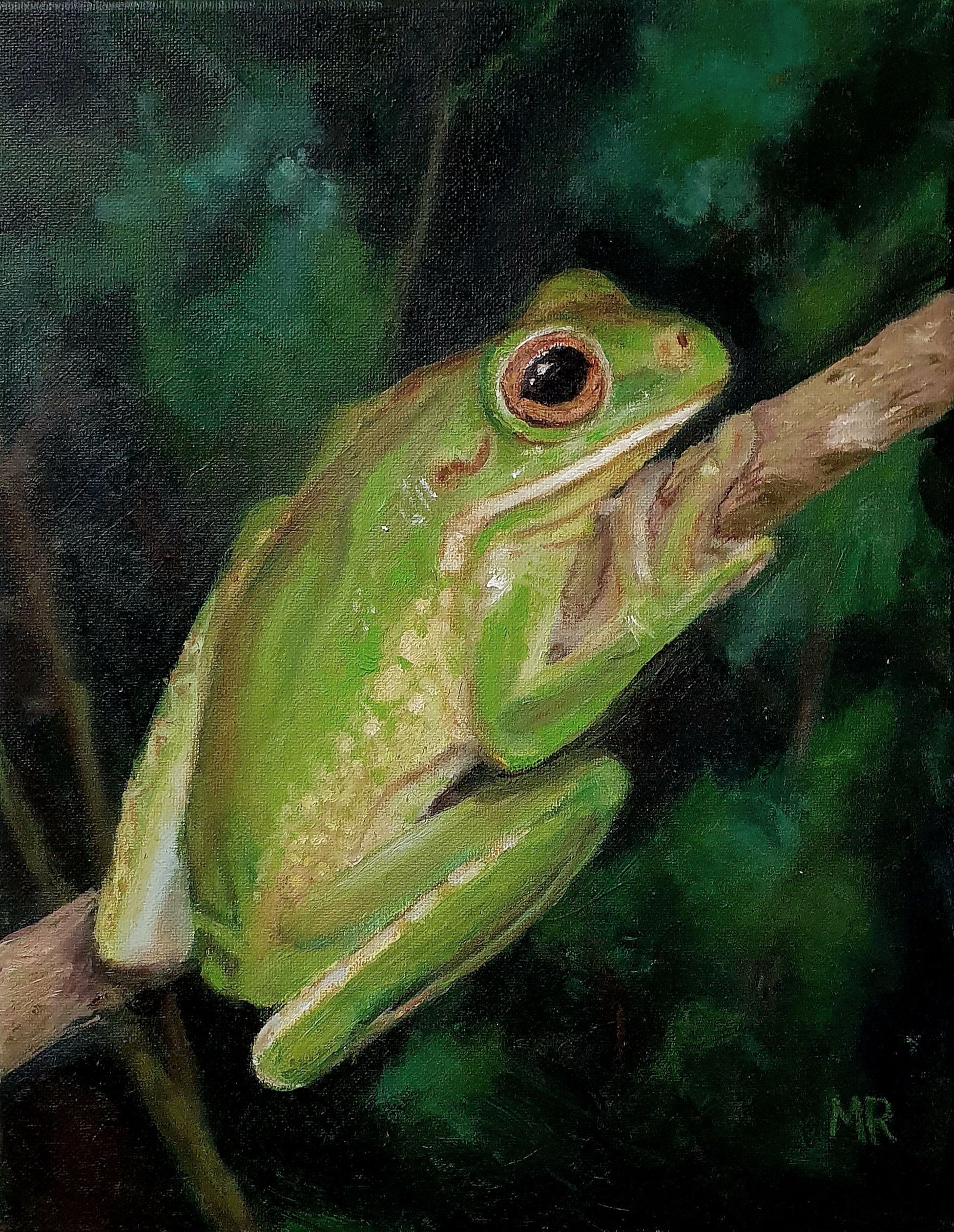 White Lipped Green Frog 11x14in oil on canvas Sept 2023